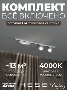 Комплект трековый Hesby Lighting Skylite №14 HSBL_kompl_S014_NI1W4K