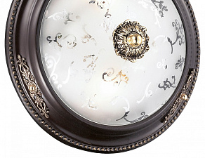 Накладной светильник Odeon Light Corbea 2671/2C