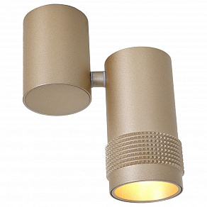 Спот Favourite Kinescope 2455-1U