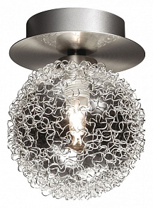 Накладной светильник Odeon Light Roxby 2460/1C