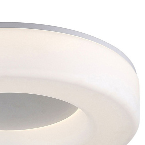 Накладной светильник ST-Luce Lordin SL886.512.01_LED