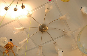 Потолочная люстра Citilux Дана CL106181