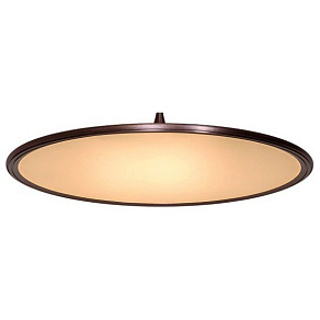 Подвесной светильник L'Arte Luce  L21861.88