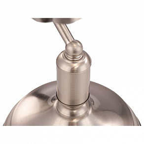 Настольная лампа декоративная Maytoni Kiwi Z154-TL-01-N