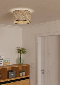 Накладной светильник Eglo Butterburn 43935