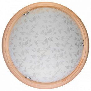 Накладной светильник TopLight Beatrice TL9280Y-00PN