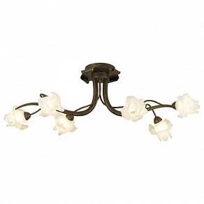 Потолочная люстра Odeon Light Iris 1372/6