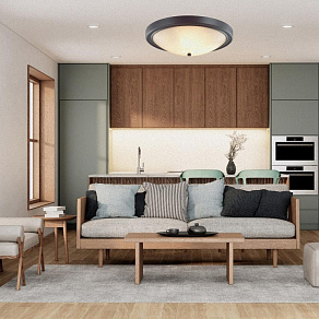 Накладной светильник Lumion Nina 5260/4C