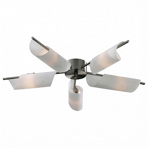 Потолочная люстра Odeon Light Ray 2014/5C
