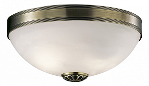 Накладной светильник Odeon Light Ovale 1990/2C