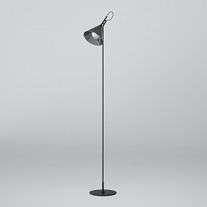 Торшер Eurosvet Enigma 01187/1 черный