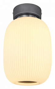 Накладной светильник Globo Boomer 15437D1