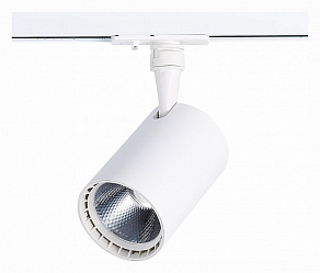 Светильник на штанге ST-Luce Cami ST351.536.20.36