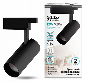 Светильник на штанге Gauss TR TR065