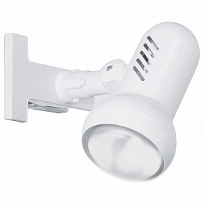 Настольная лампа офисная Eglo Manhatten 81061