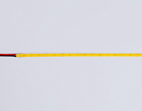 Лента светодиодная Ambrella Light  GS4612