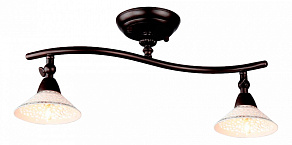 Спот Maytoni Spot 2 ECO002-02-R