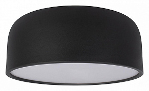 Накладной светильник Loft it Axel 10201/350 Black