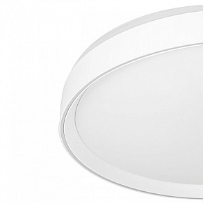 Накладной светильник Citilux BOSS CL751450G