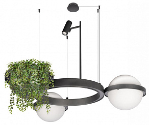 Подвесная люстра Loft it Jardin 10121/2 Dark grey