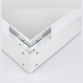 Накладной светильник Elektrostandard Grand 101-100-40-78