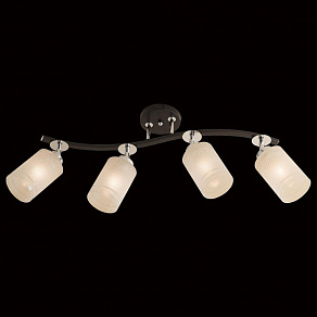 Спот Citilux Фортуна CL156141