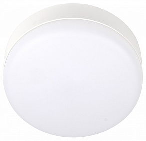 Накладной светильник Jazzway  ДПО-1014  8w 4000K  IP54