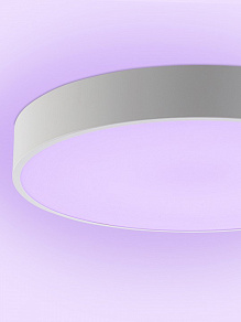 Накладной светильник Natali Kovaltseva MODERN LED LAMPS 81105/2C