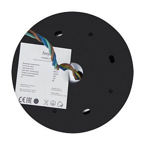 Люстра на штанге Freya Entle FR5465CL-05W