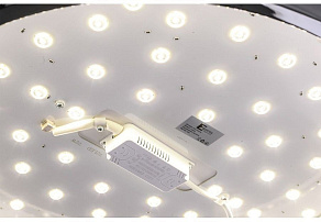 Накладной светильник Zortes Monna ZRS.1209.12