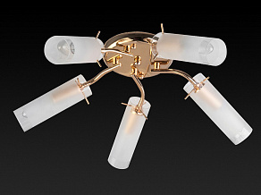 Потолочная люстра TopLight Brittany TL7130X-05FG