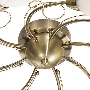 Потолочная люстра Odeon Light Dovera 2470/8C