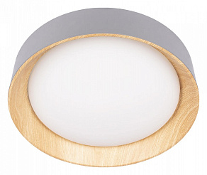 Накладной светильник Loft it Coin 10202 Grey