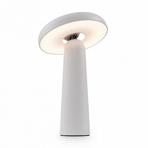 Настольная лампа декоративная Freya Mushroom FR6109TL-L4W