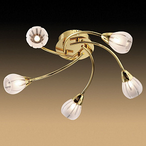 Потолочная люстра Odeon Light Posi 1616/5C