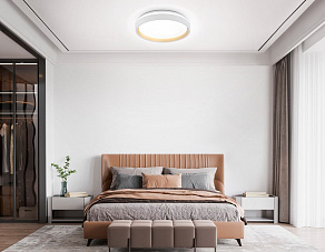 Накладной светильник Ambrella Light FZ FZ601