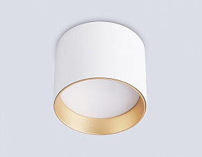 Накладной светильник Ambrella Light TN TN5304