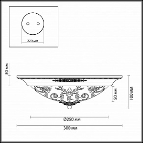 Накладной светильник Odeon Light Corbea 2670/2C