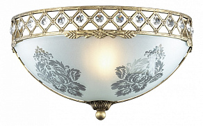 Накладной светильник Odeon Light Aspena 2776/1W
