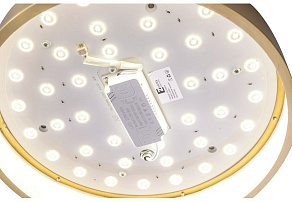 Накладной светильник Zortes Monna ZRS.1209.10