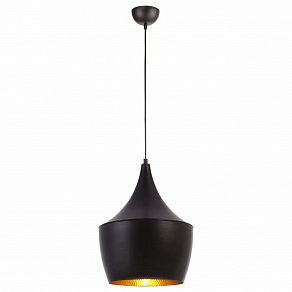 Подвесной светильник Arte Lamp Capello A3407SP-1BK