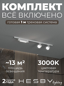 Комплект трековый Hesby Lighting Skylite №14 HSBL_kompl_S014_NI1W3K