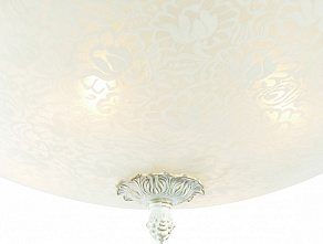 Накладной светильник ST-Luce Fascino SL135.502.04