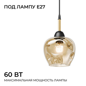 Подвесная люстра Apeyron Electrics  16-206