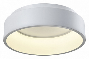 Накладной светильник Moderli Piero V2282-CL