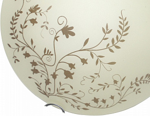 Накладной светильник Arte Lamp Ornament A4920PL-2CC