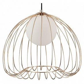 Подвесной светильник Maytoni Polly MOD543PL-01G