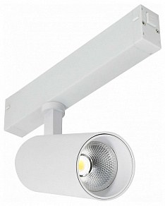 Светильник на штанге ST-Luce SKYLINE 220 ST660.536.20H