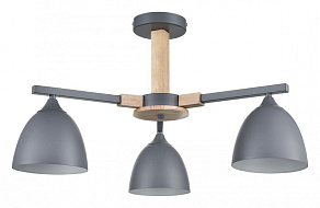 Люстра на штанге Lumion Colange 8096/3C