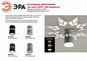 Накладной светильник Эра OL10 Б0050269